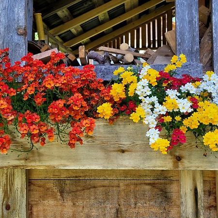 La Gerla Casa Vacanze Dolomiti Perarolo di Cadore Zewnętrze zdjęcie