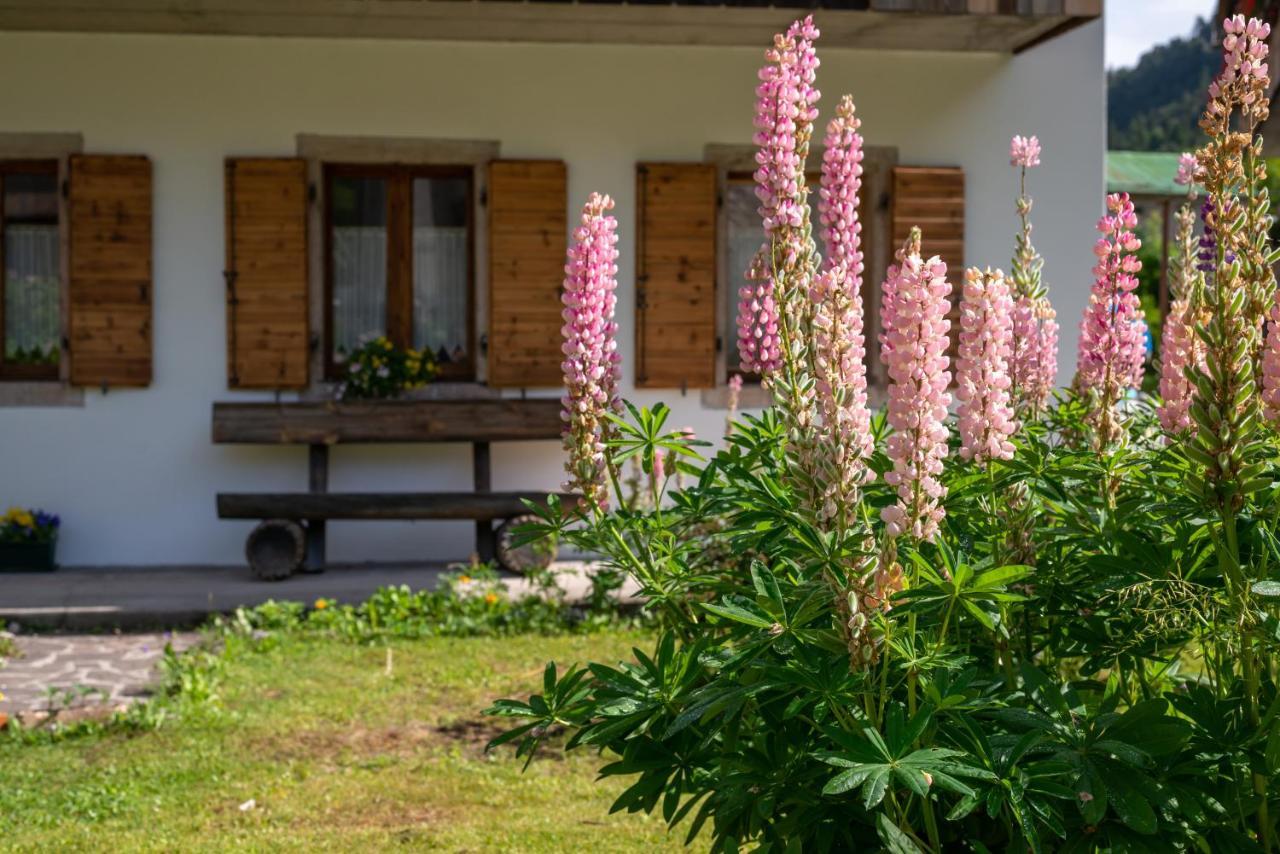 La Gerla Casa Vacanze Dolomiti Perarolo di Cadore Zewnętrze zdjęcie