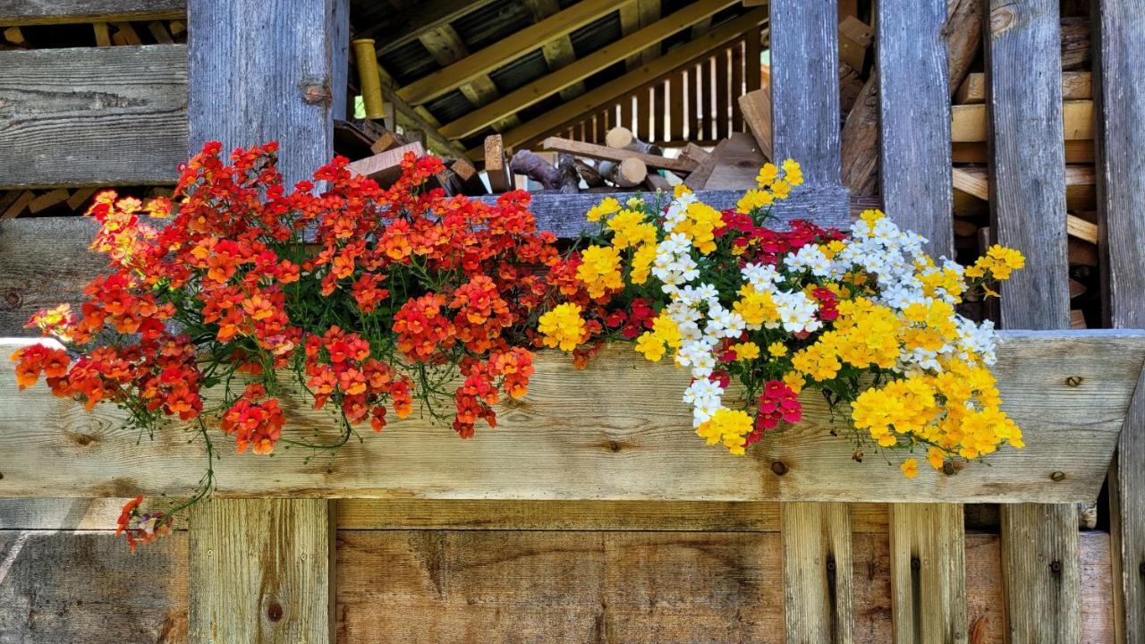 La Gerla Casa Vacanze Dolomiti Perarolo di Cadore Zewnętrze zdjęcie